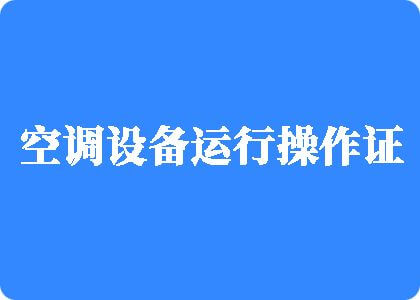 日韩肏逼制冷工证